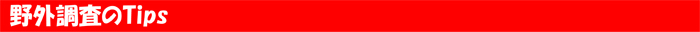 野外調査のTips
